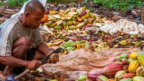 Mit der Innovations-Challenge „Innovation for Food Systems Transformation“ beabsichtigen die UNIDO und DHL vor allem die Lebensmittelabfälle auf afrikanischen Märkten zu reduzieren und die Lebensgrundlage der Bauern zu verbessern.
